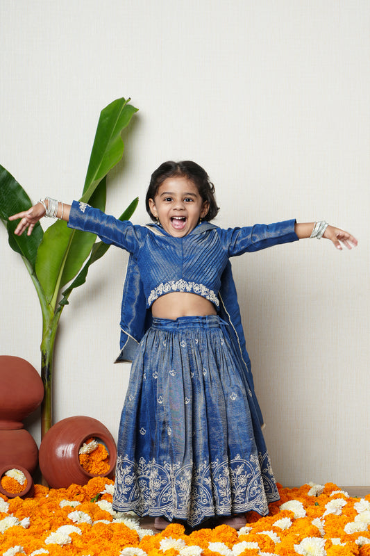 Twilight Blue Embroidered Lehenga Set