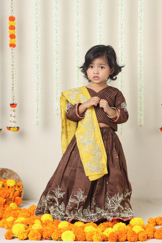 Brown Embroidered Lehenga Set with Contrast Dupatta